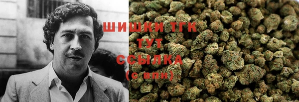 круглые Алзамай