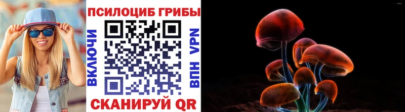Псилоцибиновые грибы ЛСД  OMG как зайти  Боготол 