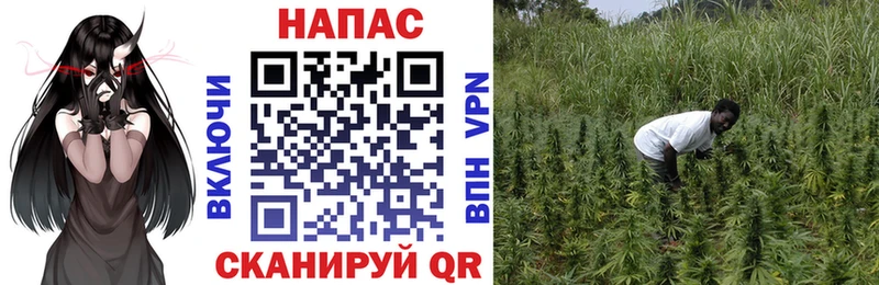 Марихуана ГИДРОПОН даркнет сайт Боготол